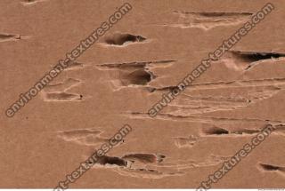 Photo Textures of Cardboard